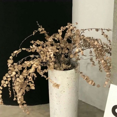 荔波福瑞交流群